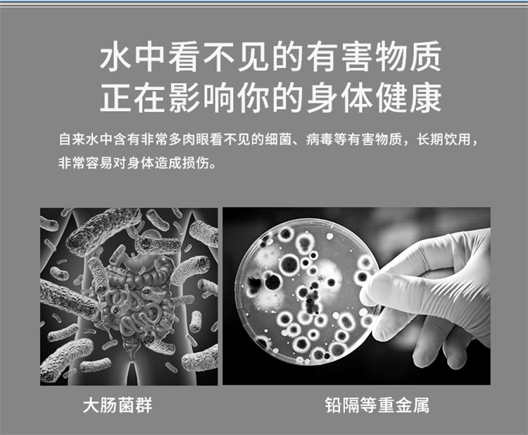 家樂事1000G大流量富鍶凈水機J1012產品介紹